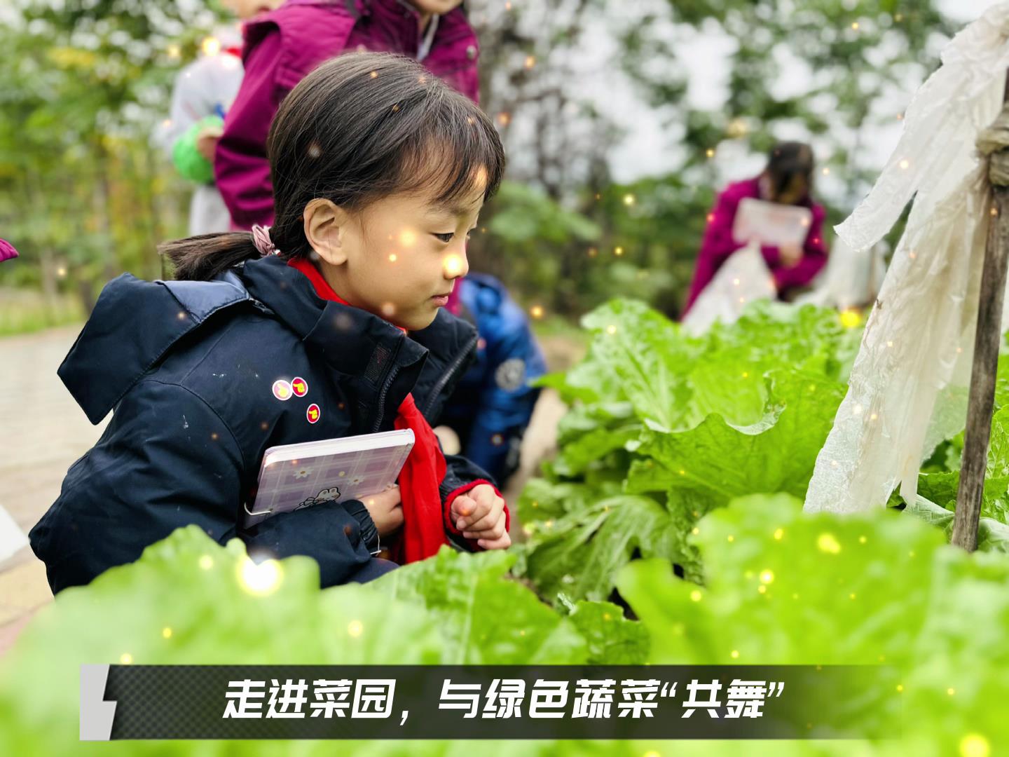 #美好學(xué)校|留校時(shí)光，走出教室，與綠色蔬菜共舞