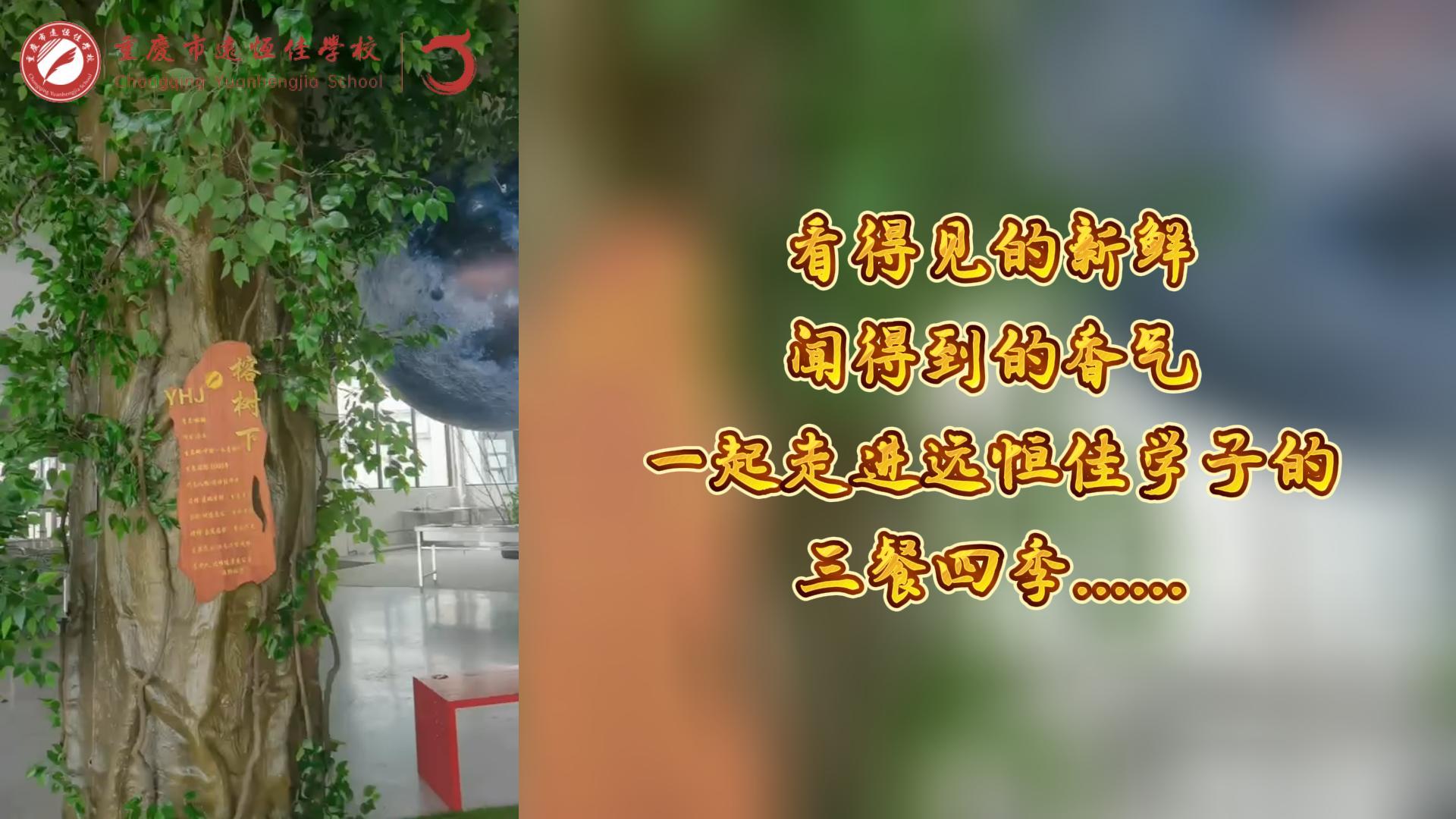 #美好學(xué)校|看得見的新鮮，聞得到的香味，一起走進(jìn)遠(yuǎn)恒佳學(xué)子的三餐四季!